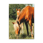 Load image into Gallery viewer, "Growing Into His Mark" Canvas
