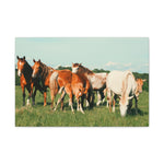 Load image into Gallery viewer, "A Family of Many Colors" Canvas
