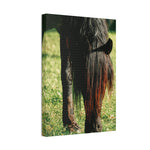 Load image into Gallery viewer, "Shades of Wild" Canvas
