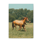 Load image into Gallery viewer, "In Her Footsteps" Canvas
