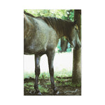 Load image into Gallery viewer, "Steely Dan" Canvas

