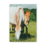 Load image into Gallery viewer, "A Promise in the Light" Canvas
