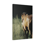 Load image into Gallery viewer, "Light Finds the Wild" Canvas
