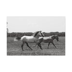 Load image into Gallery viewer, "Chasing His Shadow" Canvas
