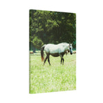 Load image into Gallery viewer, "Water Line" Canvas
