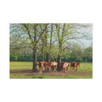 Load image into Gallery viewer, "At the Heart of the Herd" Canvas

