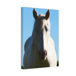 Load image into Gallery viewer, "Between Sun and Shadow" Canvas
