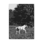 Load image into Gallery viewer, "Born to Run" Canvas
