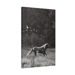 Load image into Gallery viewer, "Ely-Un-Bridled" Canvas
