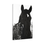 Load image into Gallery viewer, "Marked and Unmoved" Canvas

