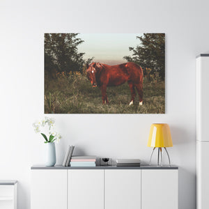 "Ember in the Field" Canvas