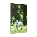 Load image into Gallery viewer, "Where Her Eyes Wander" Canvas
