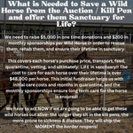 Load image into Gallery viewer, $50,080 left to raise to rescue 40 Mustangs from Kill Pens During July Rescue Mission

