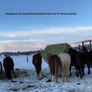 Winter Hay Fund!