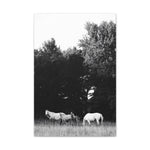 Load image into Gallery viewer, "Held Between Them" Canvas
