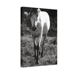 Load image into Gallery viewer, "The Weight of His Story" Canvas

