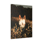 Load image into Gallery viewer, &quot;Face to Face&quot; Canvas
