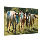 Load image into Gallery viewer, "The Gathering in the Sun" Canvas
