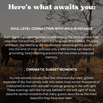 Load image into Gallery viewer, Enter to WIN a Wild Horse Weekend Retreat!!!
