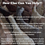 Load image into Gallery viewer, $50,080 left to raise to rescue 40 Mustangs from Kill Pens During July Rescue Mission
