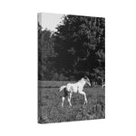 Load image into Gallery viewer, "Born to Run" Canvas
