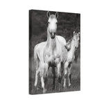 Load image into Gallery viewer, "Venus and Kairos: A Second Chance, A First Glimpse" Canvas
