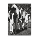 Load image into Gallery viewer, "A Place Among Their Own" Canvas
