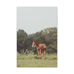 Load image into Gallery viewer, "Saturns Baby Girl" Canvas
