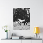 Load image into Gallery viewer, "Chasing Freedom" Canvas
