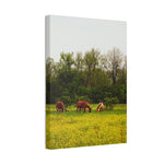 Load image into Gallery viewer, "A Quiet Distance" Canvas
