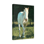 Load image into Gallery viewer, "Where the Light Finds Him" Canvas
