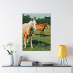 Load image into Gallery viewer, Copy of "Two Side of the Same Spirit" Canvas
