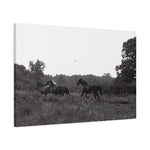 Load image into Gallery viewer, "Toward Freedom" Canvas
