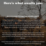 Load image into Gallery viewer, Enter to WIN a Wild Horse Weekend Retreat!!!

