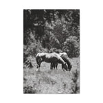 Load image into Gallery viewer, "Where Trust Lives" Canvas
