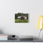 Load image into Gallery viewer, Copy of "A Family of Many Colors" Canvas
