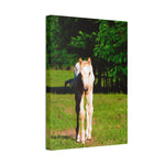 Load image into Gallery viewer, "Small Steps, Wild Heart" Canvas
