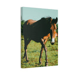 Load image into Gallery viewer, "Eyes That Follow" Canvas
