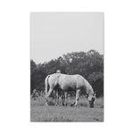 Load image into Gallery viewer, "Behind Her Shadow" Canvas

