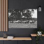 Load image into Gallery viewer, "When the Herd Runs" Canvas
