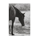 Load image into Gallery viewer, "Feathers of the Wild" Canvas
