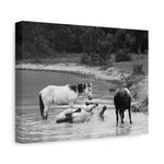 Load image into Gallery viewer, "A Moment of Play" Canvas
