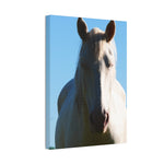 Load image into Gallery viewer, "Between Sun and Shadow" Canvas
