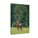 Load image into Gallery viewer, "The Guardian of the Meadow" Canvas

