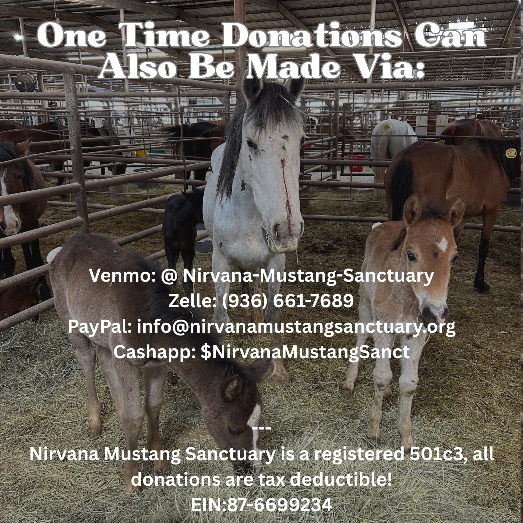 $3,285 in One Time Donations & $200 in Monthly Sponsorships Needed for Wild Horse #1 to be SAFE!!!