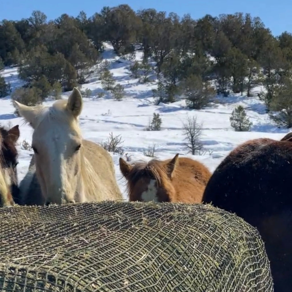 Winter Hay Fund!