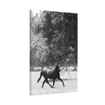 Load image into Gallery viewer, "Good Running Wild" Canvas
