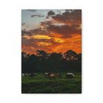 Load image into Gallery viewer, "When the Sky Catches Fire" Canvas
