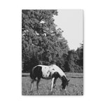 Load image into Gallery viewer, "Rooted in Stillness" Canvas
