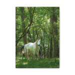 Load image into Gallery viewer, "The Watcher and the Wanderer" Canvas
